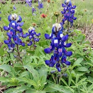 Meet your Posher, Lynn